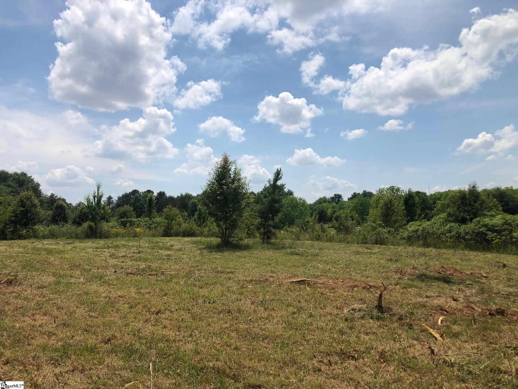 175 Hidden Lake Road Chesnee, SC 29323 - Photo 5 of 14 Gallery Image 5
