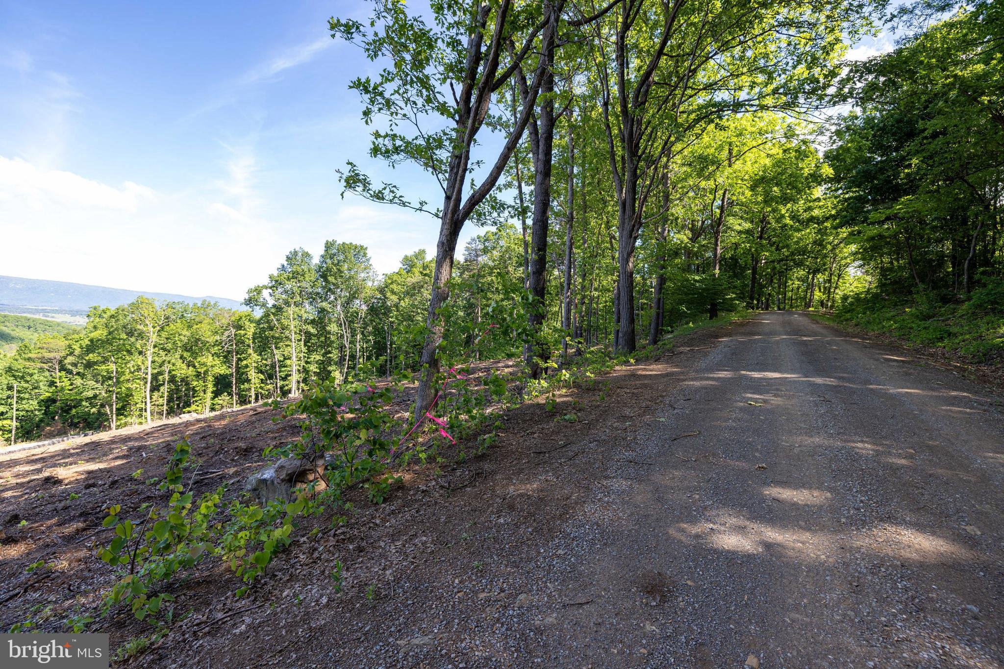 0 Cross Mountain Road Luray, VA 22835 - Photo 34 of 51
