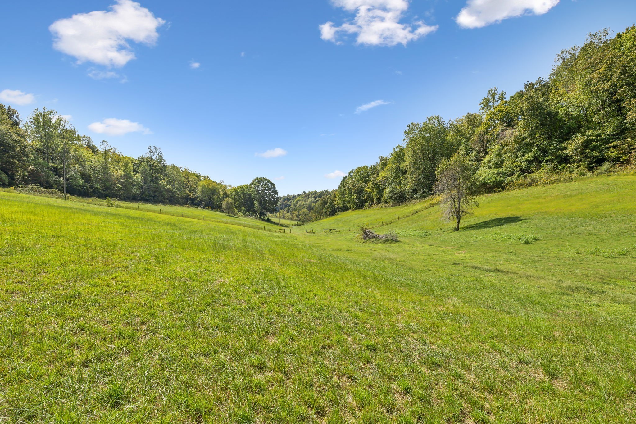 0 Young Road Pulaski, TN 38478 - Photo 13 of 15