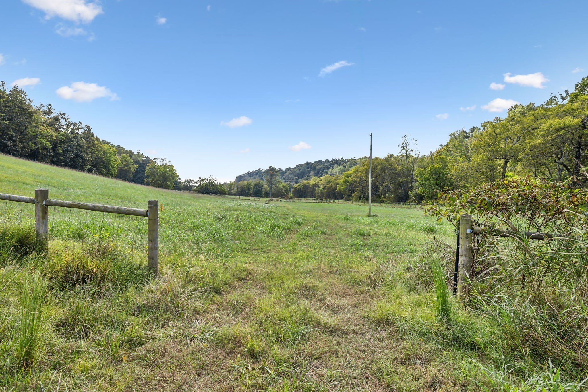 0 Young Road Pulaski, TN 38478 - Photo 4 of 15