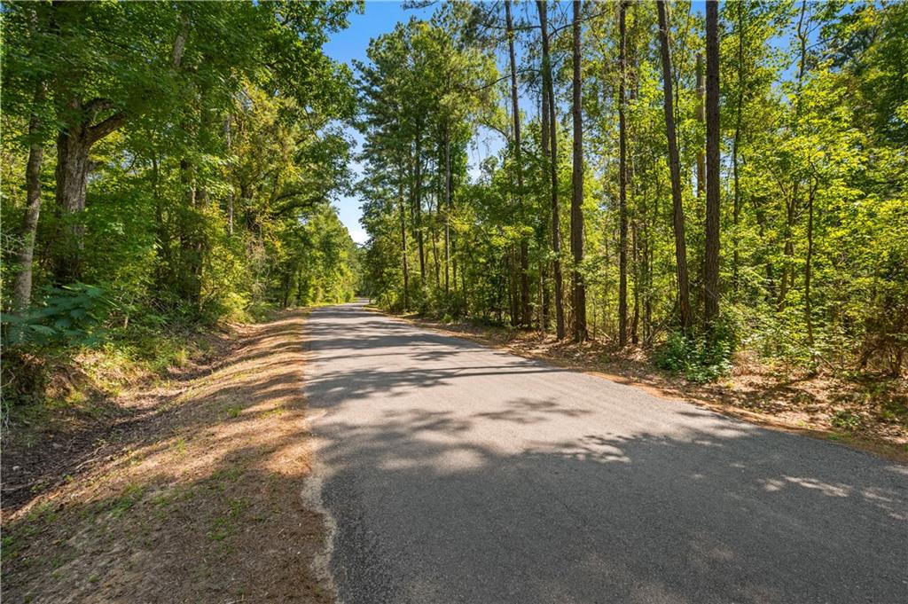 Tbd Miller Road Boyce, LA 71409 - Photo 7 of 8 Gallery Image 7