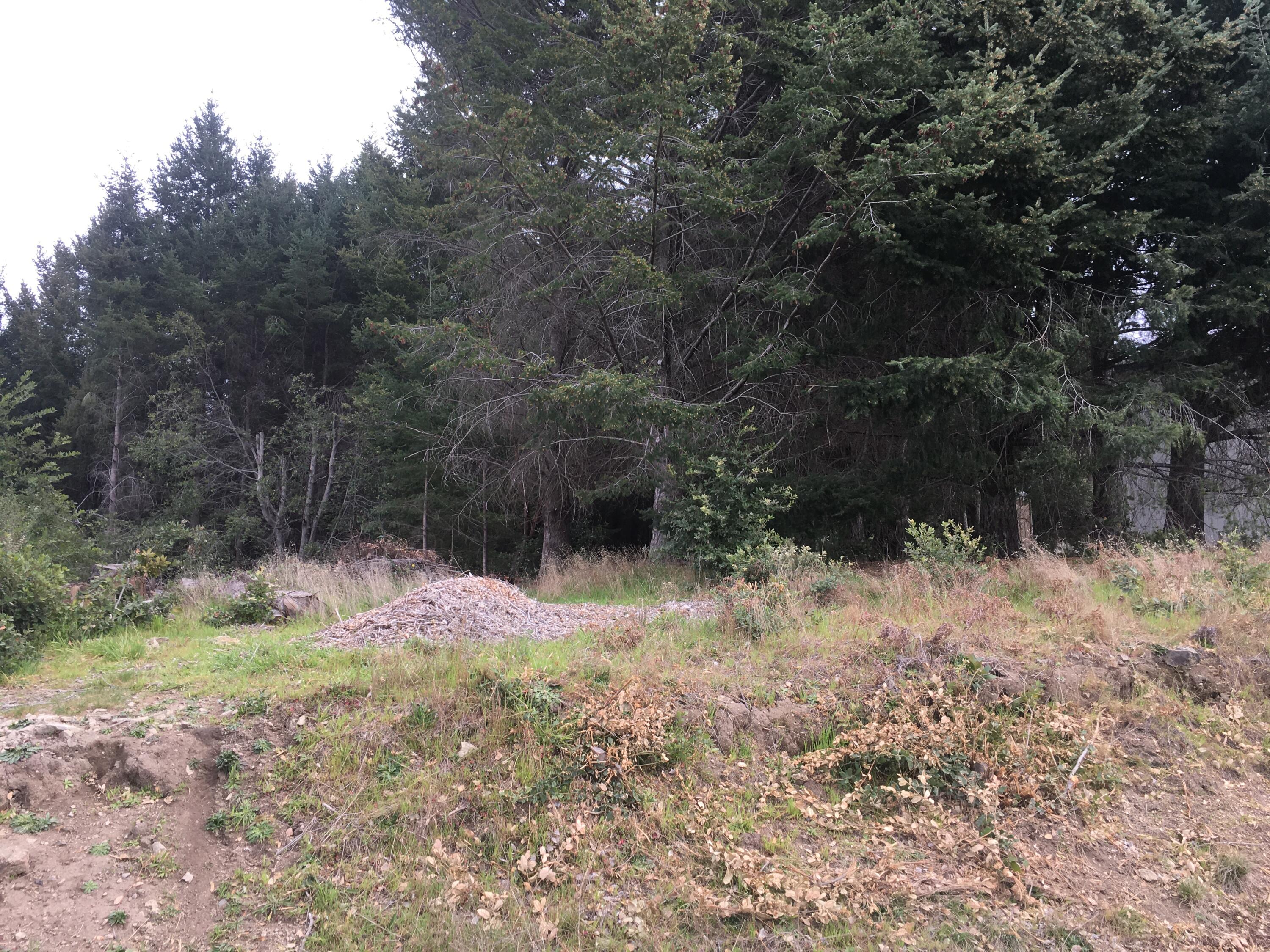 1199 Toth Road Shelter Cove, CA 95589 - Photo 4 of 5 IMG_1122