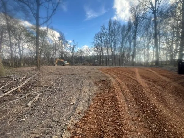 a view of dirt yard with large trees