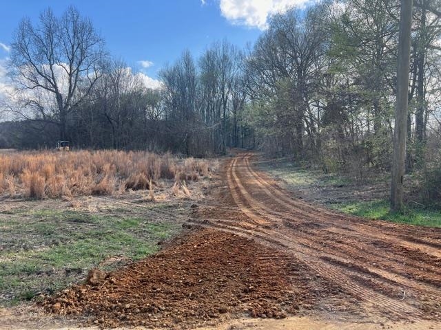 Lot 1 Brammer Road Mason, TN 38049 - Photo 2 of 4 View of dirt / gravel road