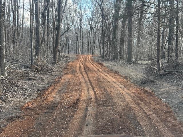 Lot 1 Brammer Road Mason, TN 38049 - Photo 3 of 4 View of dirt / gravel road
