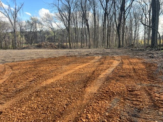 Lot 1 Brammer Road Mason, TN 38049 - Photo 4 of 4 View of yard