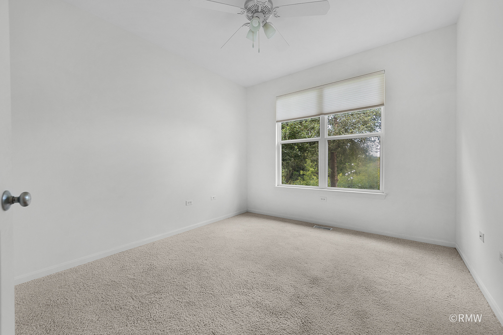 981 Oak Ridge Boulevard Elgin, IL 60120 - Photo 22 of 46 Gallery Image 22