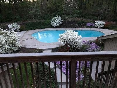 6529 Tell Mynatt Road Knoxville, TN 37938 - Photo 34 of 38 MASTER DECK POOL VIEW