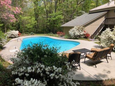 6529 Tell Mynatt Road Knoxville, TN 37938 - Photo 35 of 38 POOL 1