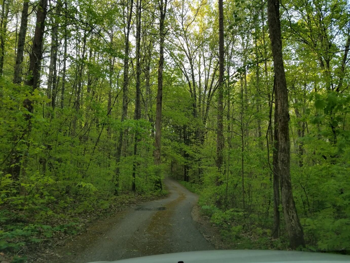 6529 Tell Mynatt Road Knoxville, TN 37938 - Photo 38 of 38 DRIVEWAY