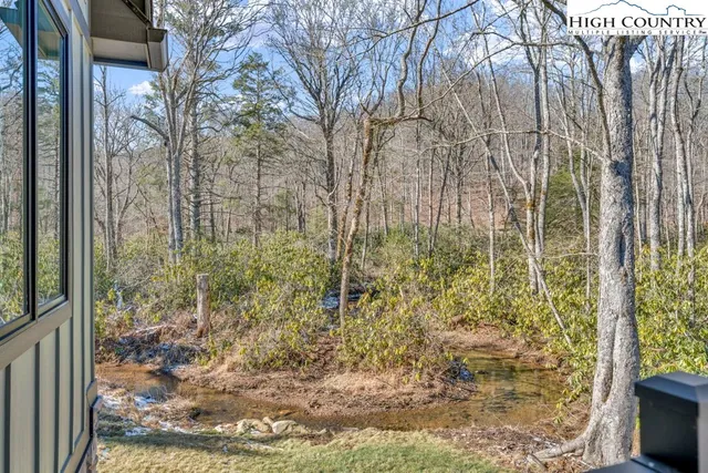a view of a pathway of a yard
