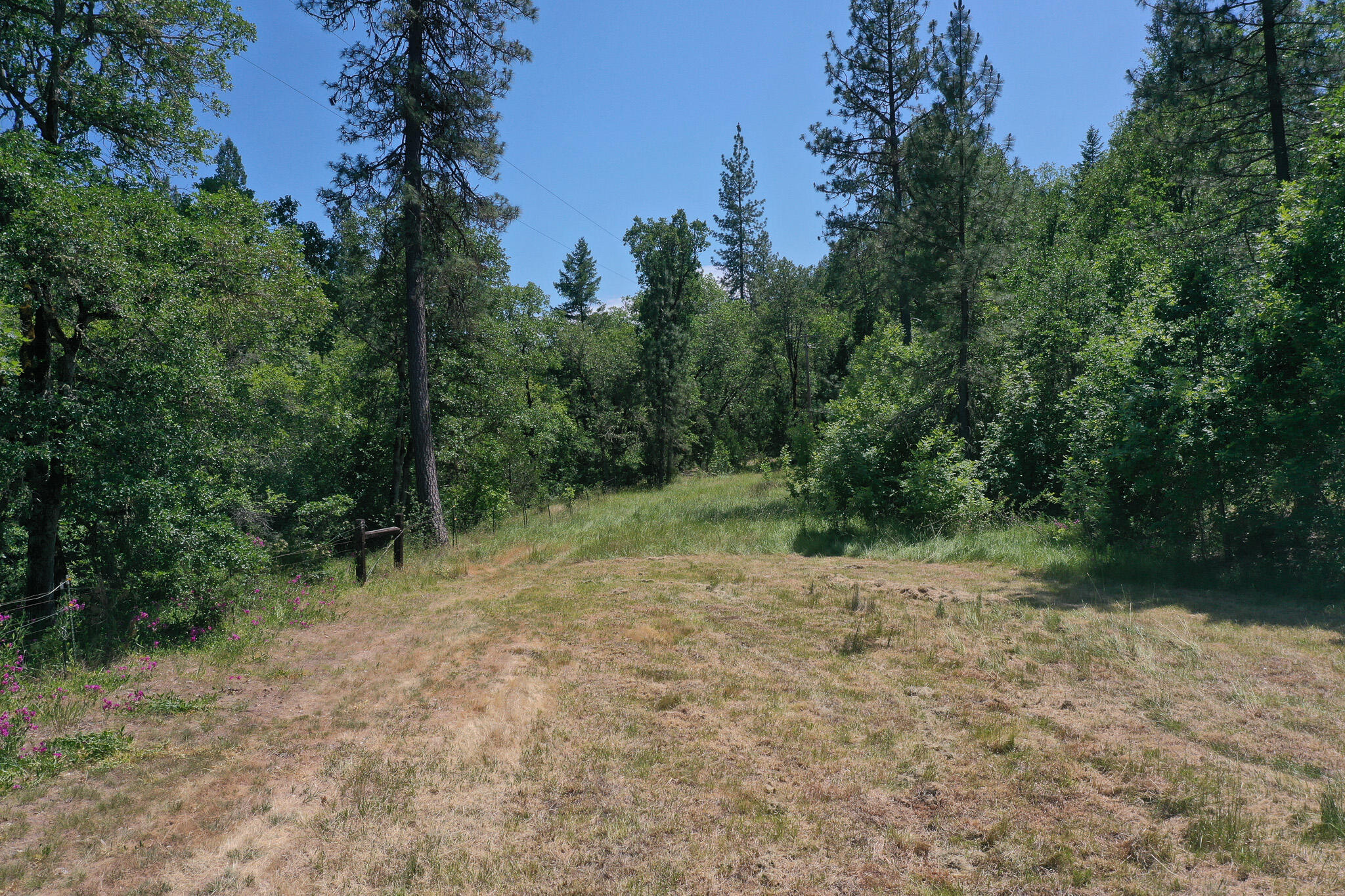 6534 Crowfoot Road Trail, OR 97541 - Photo 13 of 21 DJI_0890