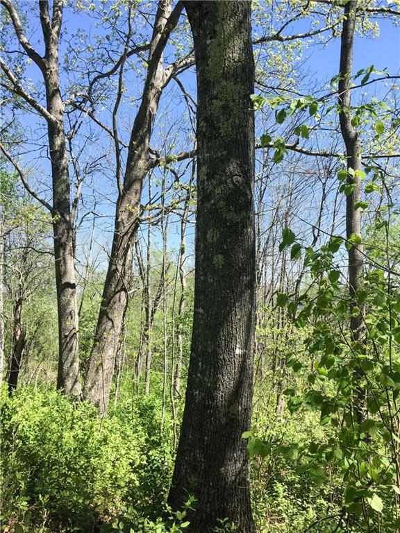 Lot 13 Richardson Road Orrington, ME 04474 - Photo 28 of 33 Large timber.