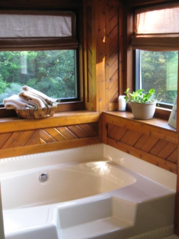 2021 Altice Mill Road Rocky Mount, VA 24151 - Photo 14 of 26 a view of bathtub in balcony