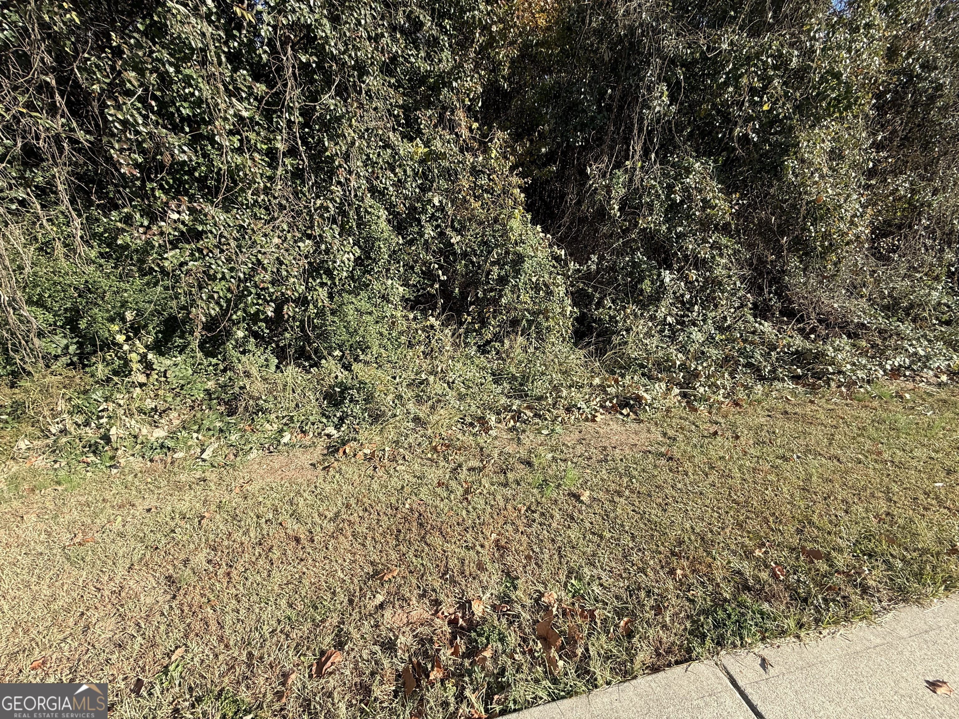 8654 Webb Road Riverdale, GA 30274 - Photo 4 of 6 a view of a yard