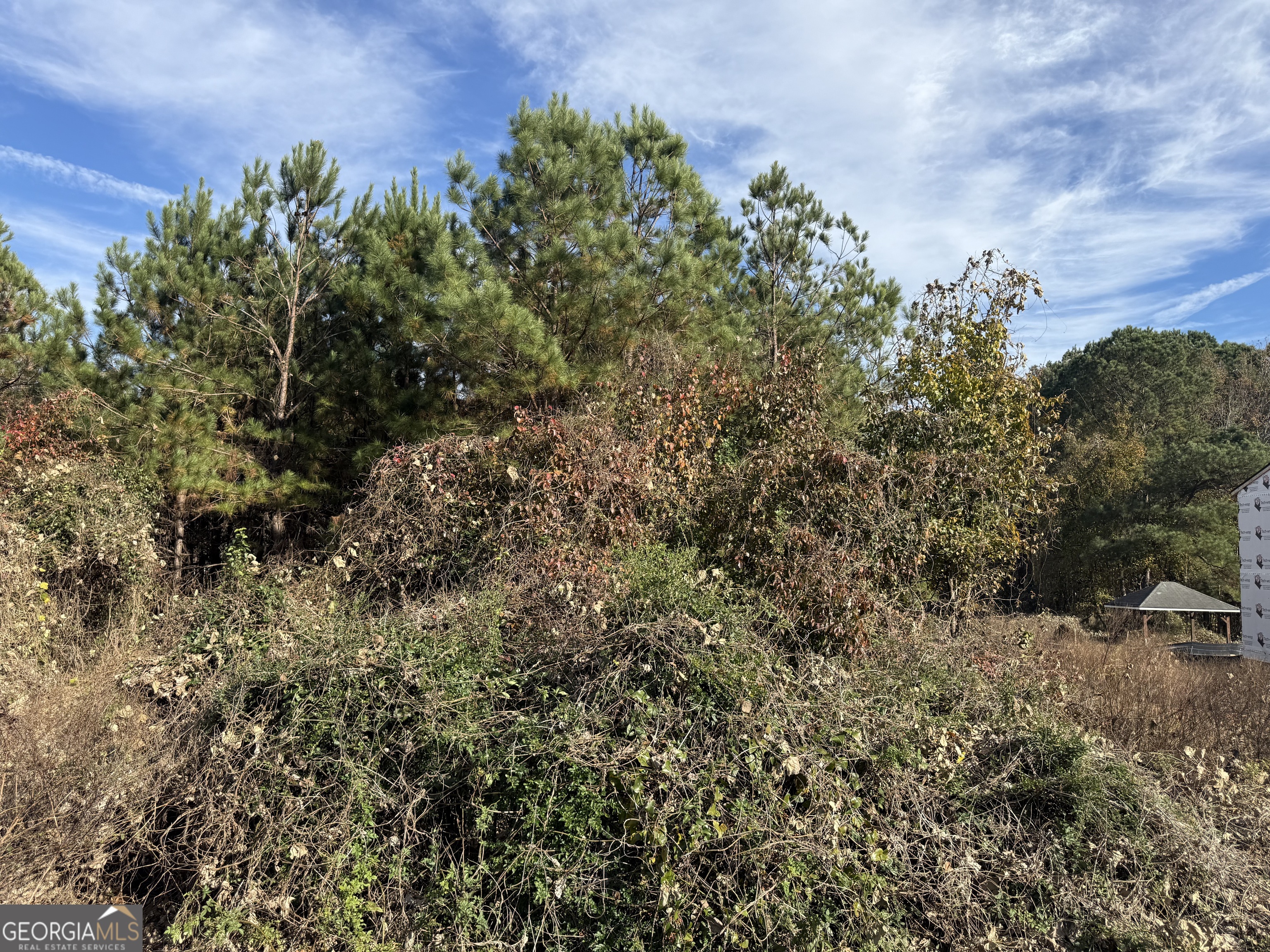 8654 Webb Road Riverdale, GA 30274 - Photo 5 of 6 a view of a field