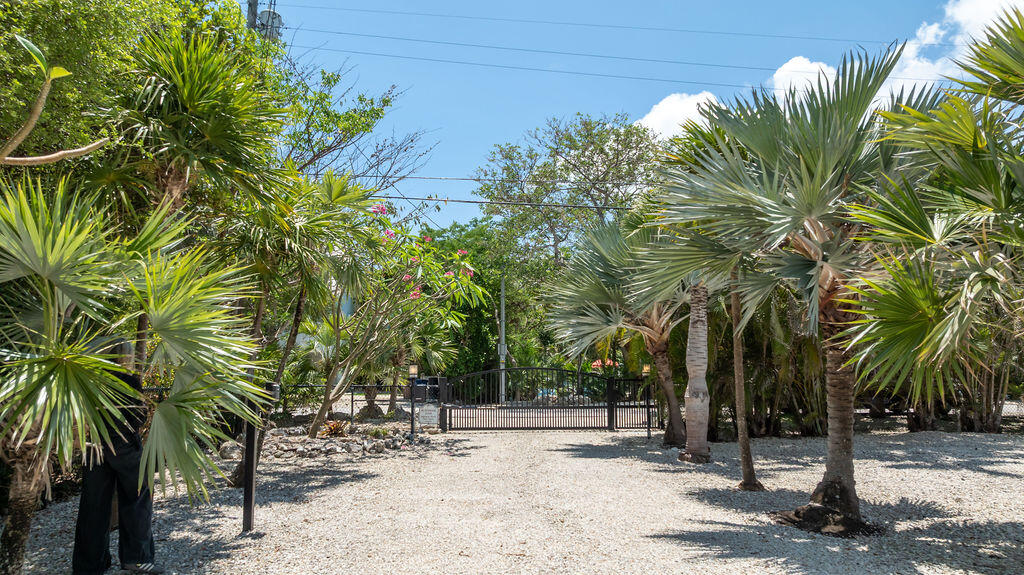 58121 Morton Street Marathon, FL 33050 - Photo 4 of 93 Large Yard