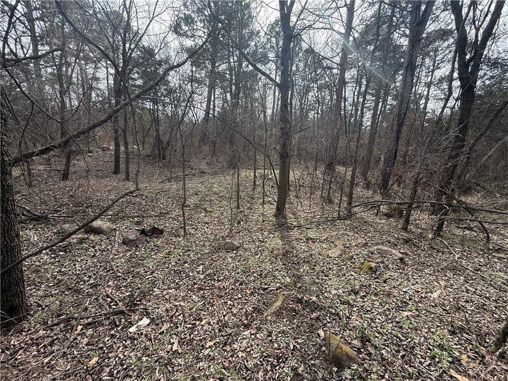 0 Pea Rdg Road Havana, AR 72842 - Photo 16 of 20 View of local wilderness