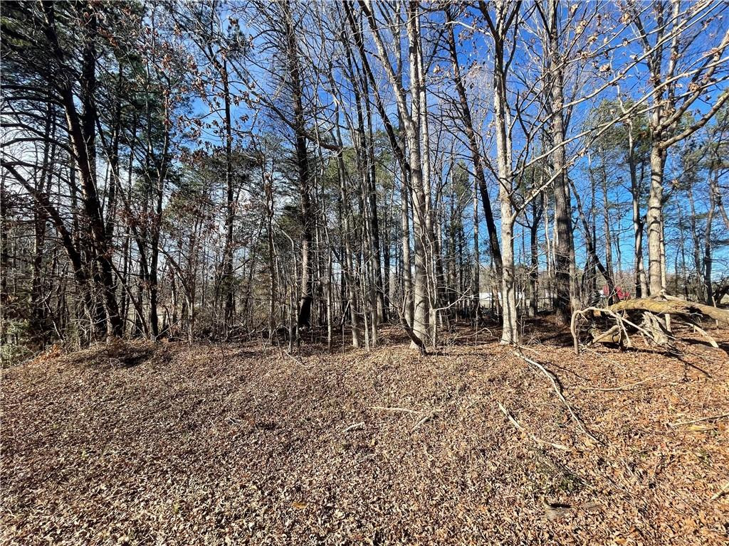 3605 West Ten Road Efland, NC 27243 - Photo 2 of 7 Photo 2