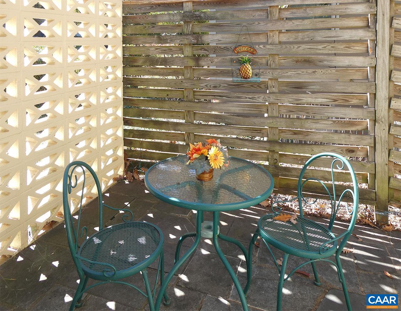 107 Elkhorn Road Charlottesville, VA 22903 - Photo 13 of 45 Private patio