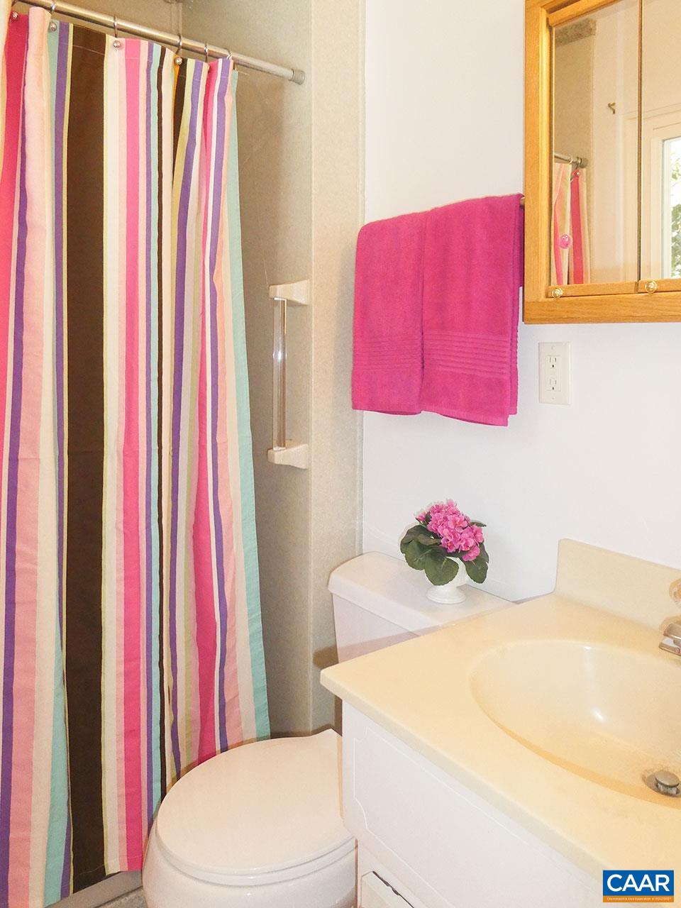 107 Elkhorn Road Charlottesville, VA 22903 - Photo 20 of 45 Primary Bath