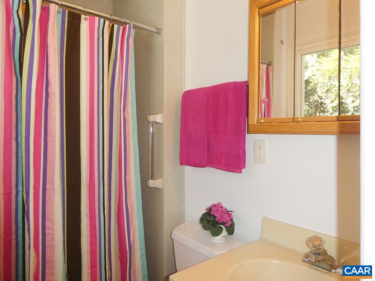 107 Elkhorn Road Charlottesville, VA 22903 - Photo 21 of 45