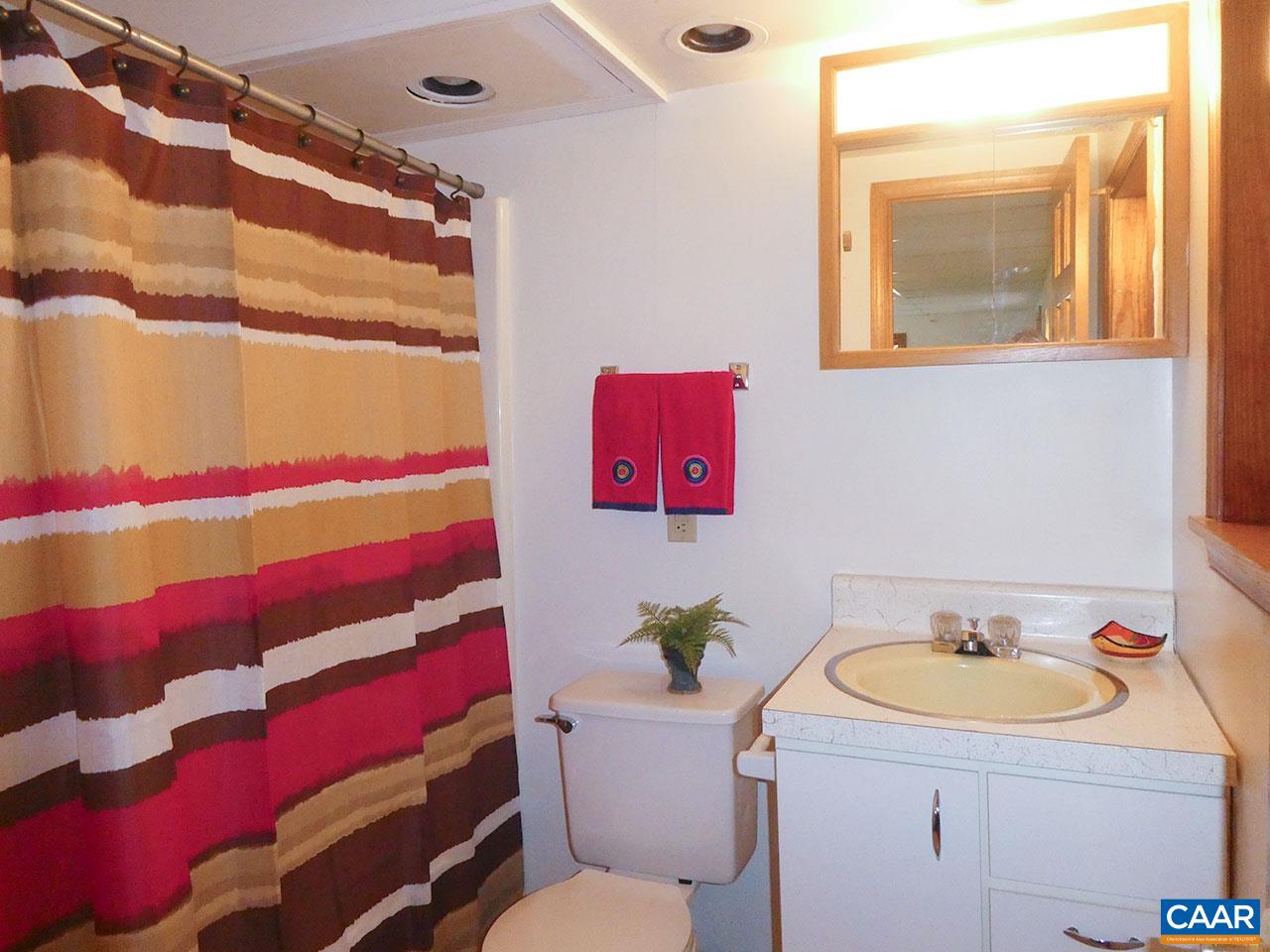 107 Elkhorn Road Charlottesville, VA 22903 - Photo 31 of 45 Basement full bath