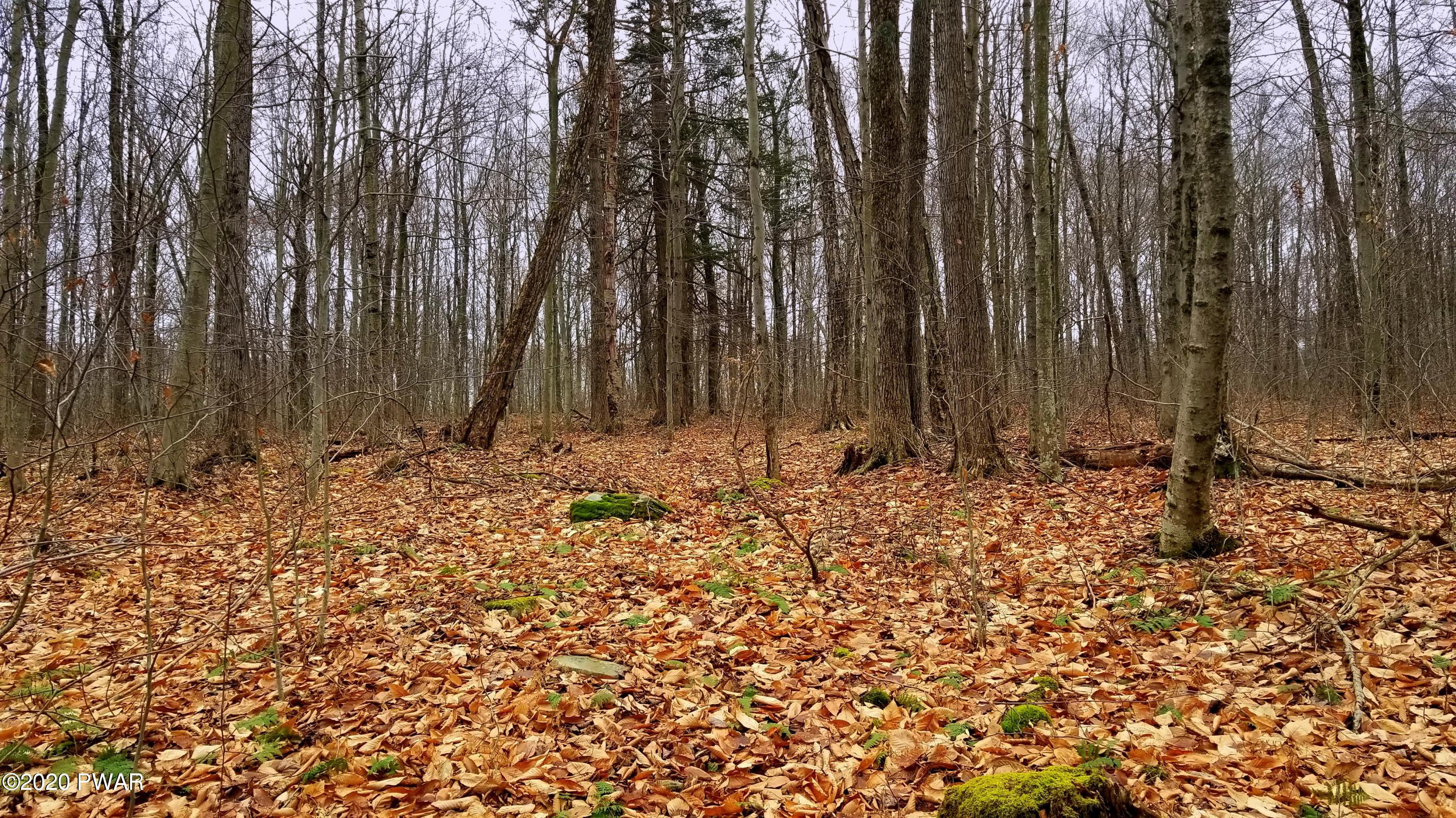 Lot 80 Stonegate Road Equinunk, PA 18417 - Photo 33 of 58
