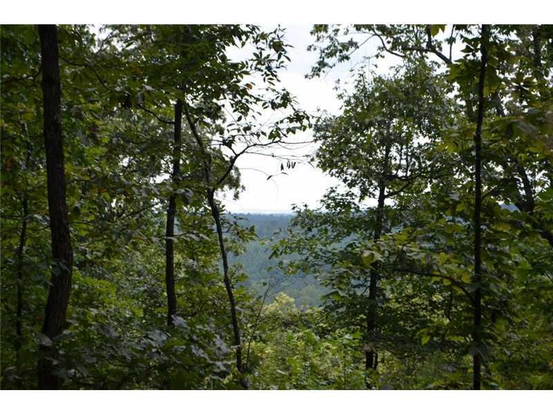 1590 Lawson Federal Road Ball Ground, GA 30107 - Photo 1 of 1 View.