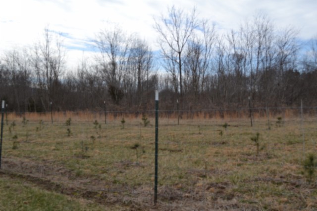 129 Rushing Springs Road Monterey, TN 38574 - Photo 43 of 49 Gallery Image 43
