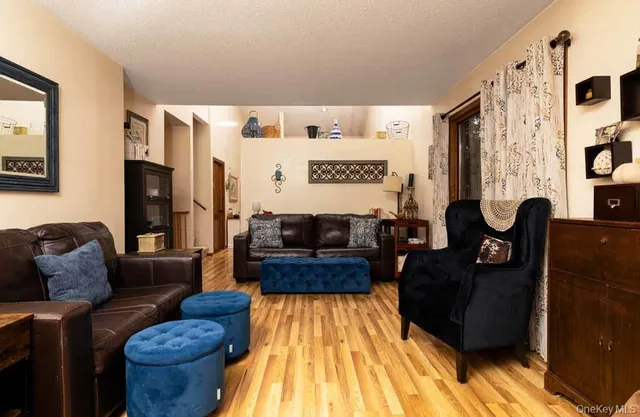 a living room with furniture and a rug