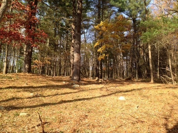 380 Pope Road Concord, MA 01742 - Photo 5 of 8 Gallery Image 5