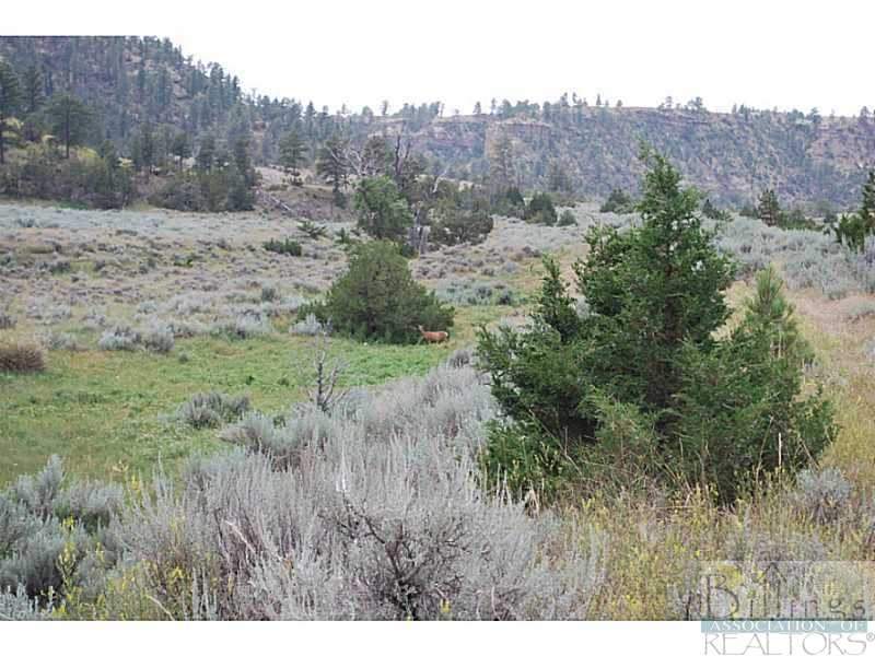 0 Canyon Creek Road Molt, MT 59057 - Photo 1 of 1 Exterior Front.