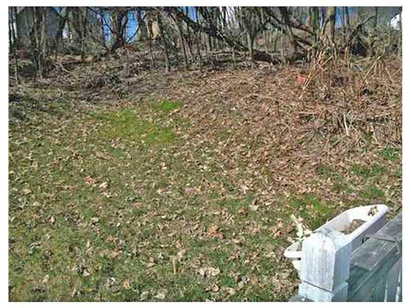 120 Walter Street Bangor, ME 04401 - Photo 30 of 31 Yard/Garden.