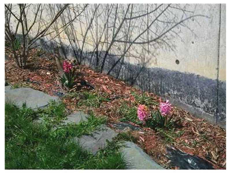 120 Walter Street Bangor, ME 04401 - Photo 4 of 31 Yard/Garden.