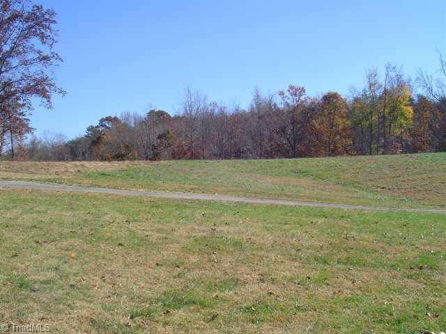 7586 Dubach Road Summerfield, NC 27358 - Photo 2 of 4 Other.