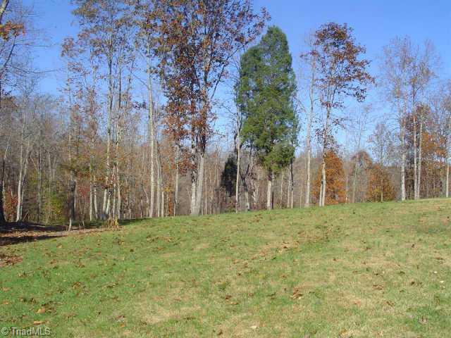 7586 Dubach Road Summerfield, NC 27358 - Photo 3 of 4 Other.
