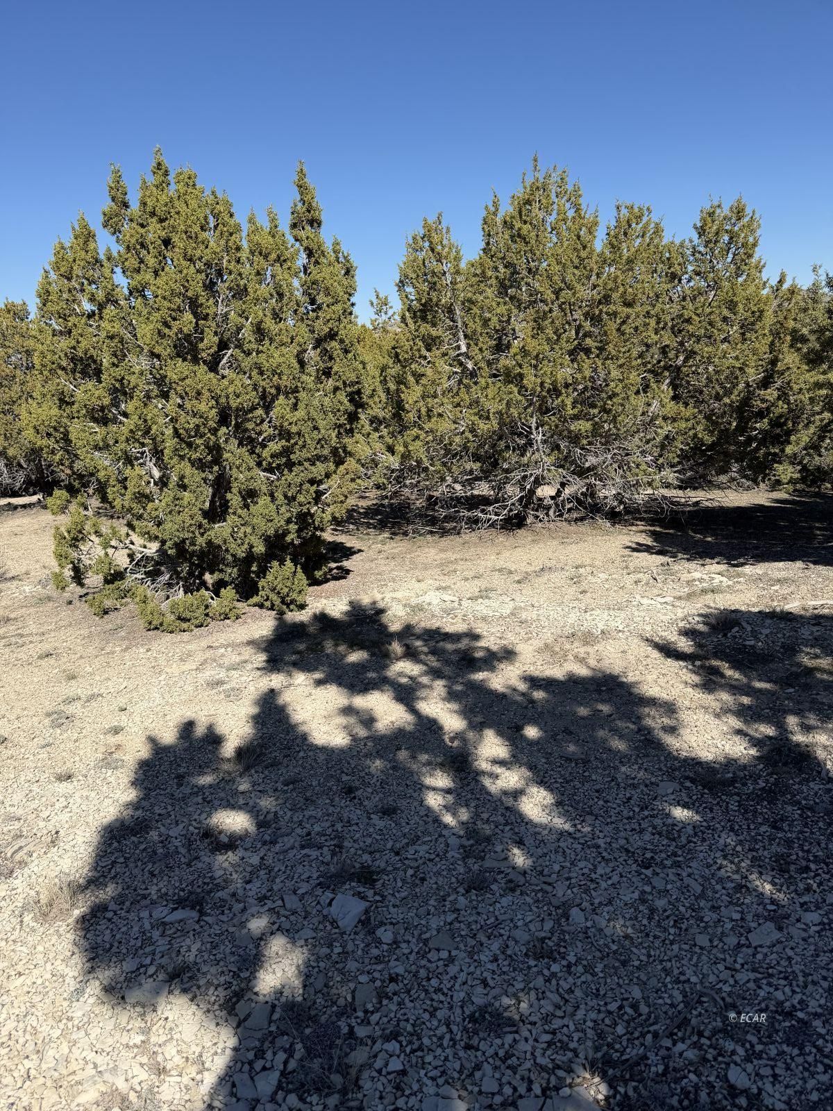 Andy's Way Elko, NV 89801 - Photo 12 of 16