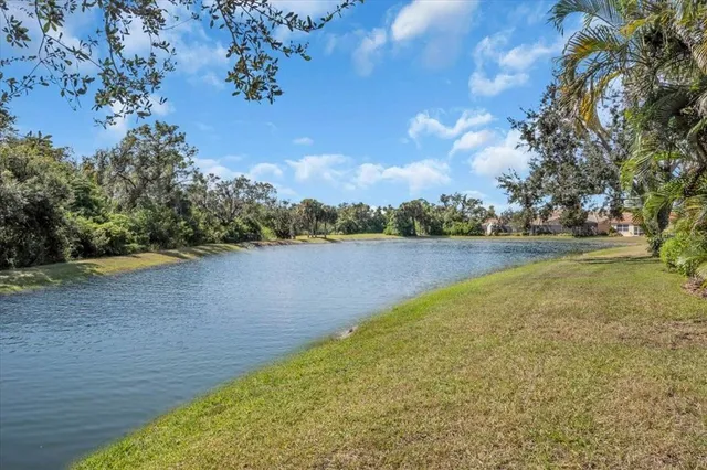 a view of a swimming pool with a patio and a yard