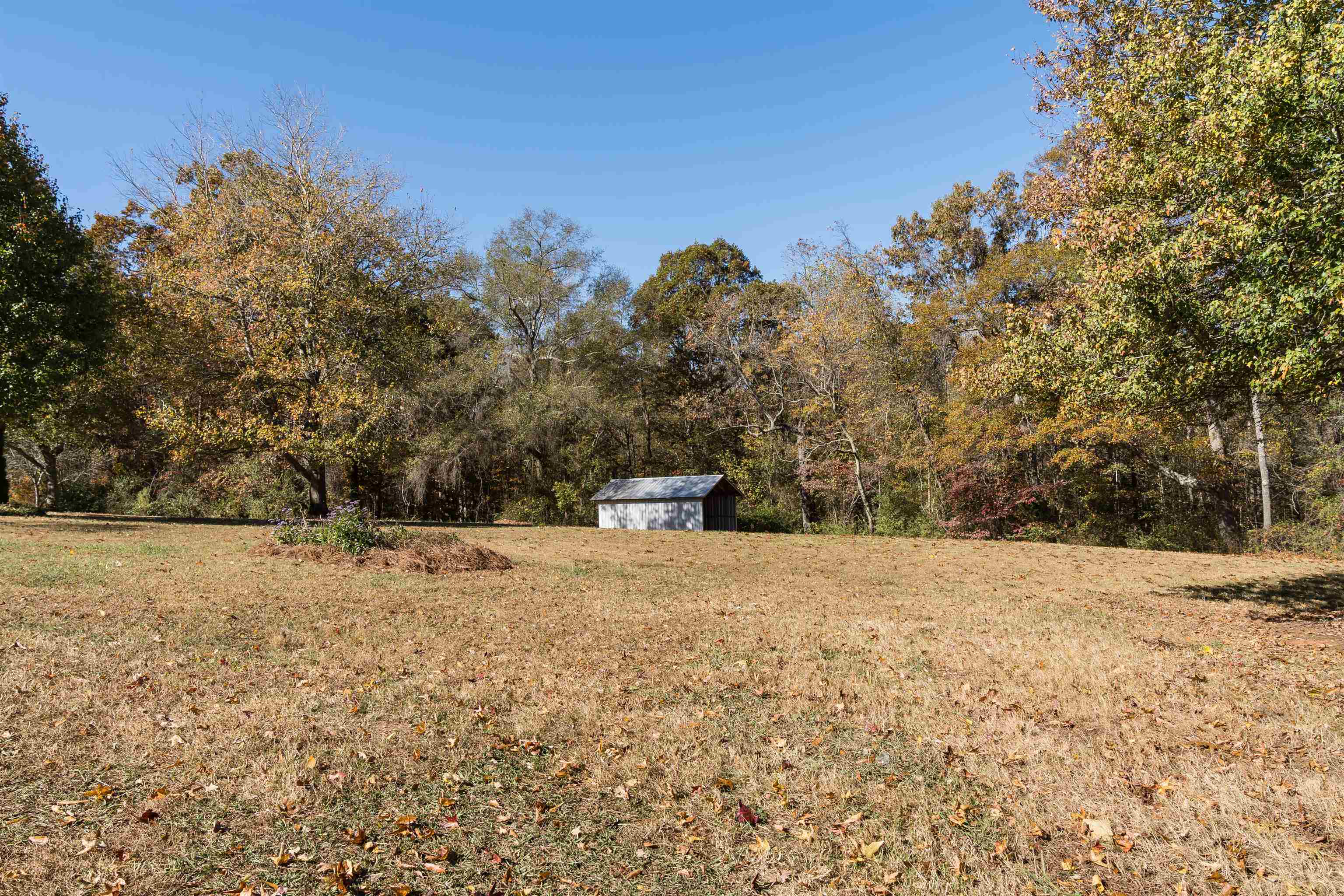 360 State Rd S-42-1944 Chesnee, SC 29323 - Photo 12 of 34 Gallery Image 12