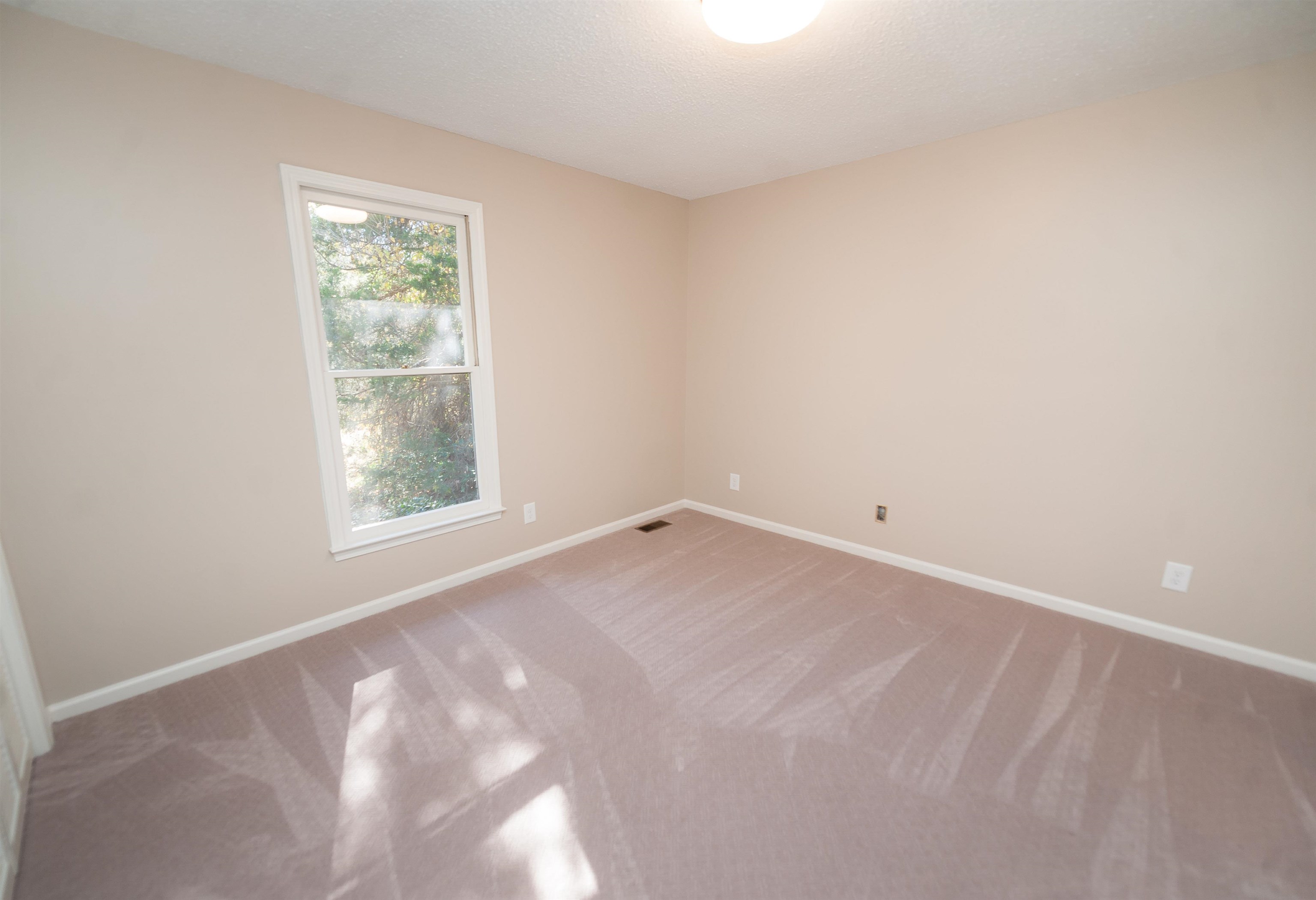 360 State Rd S-42-1944 Chesnee, SC 29323 - Photo 26 of 34 Gallery Image 26