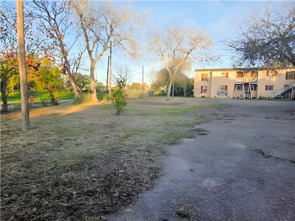 a view of a yard with a tree