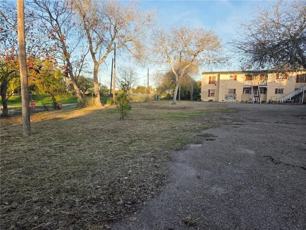 a view of yard with trees