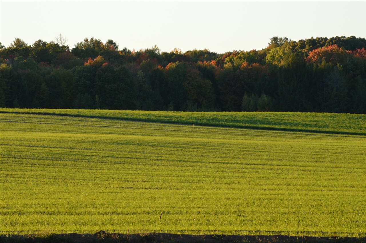 11 Fox Hill Road Vernon, VT 05354 - Photo 28 of 29 Gallery Image 28
