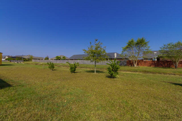 579 Fulton Loop Foley, AL 36535 - Photo 18 of 19 Back Yard