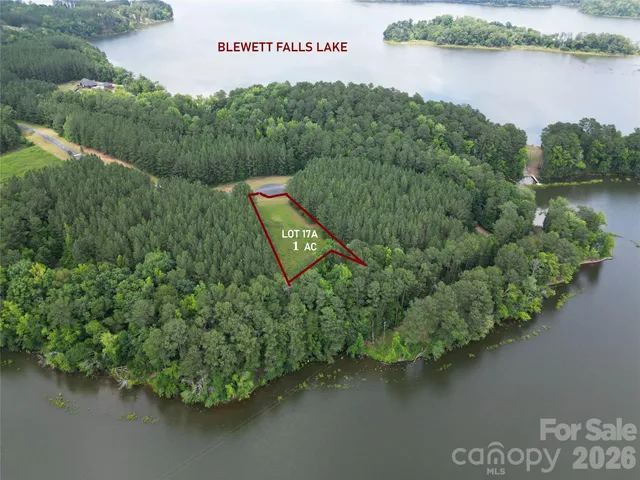 an aerial view of a house with a yard and lake view