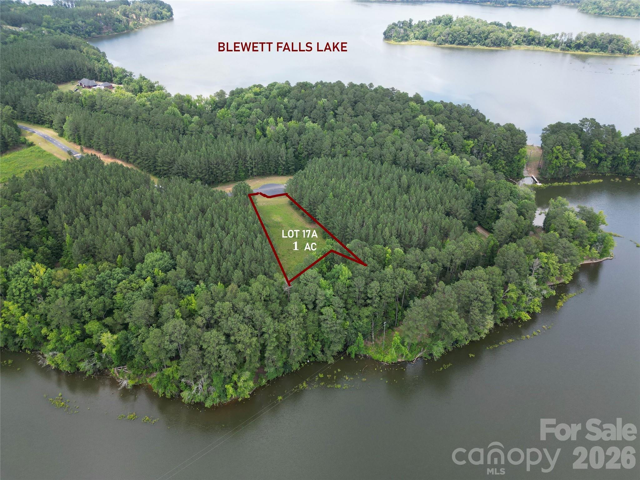 an aerial view of a house with a yard and lake view