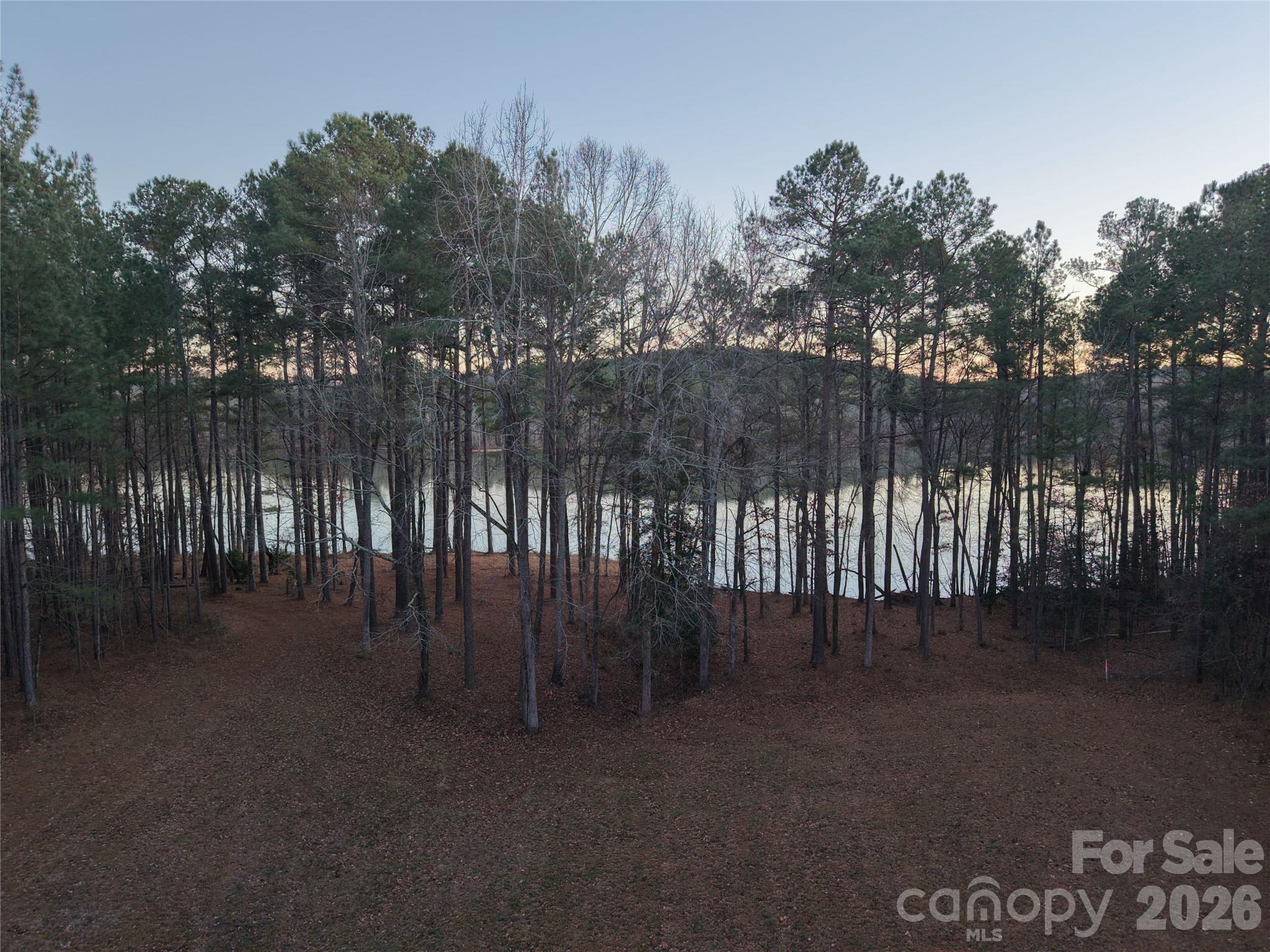 Tbd Tbd Spencer Pointe Road Lilesville, NC 28091 - Photo 12 of 19 a view of backyard with green space
