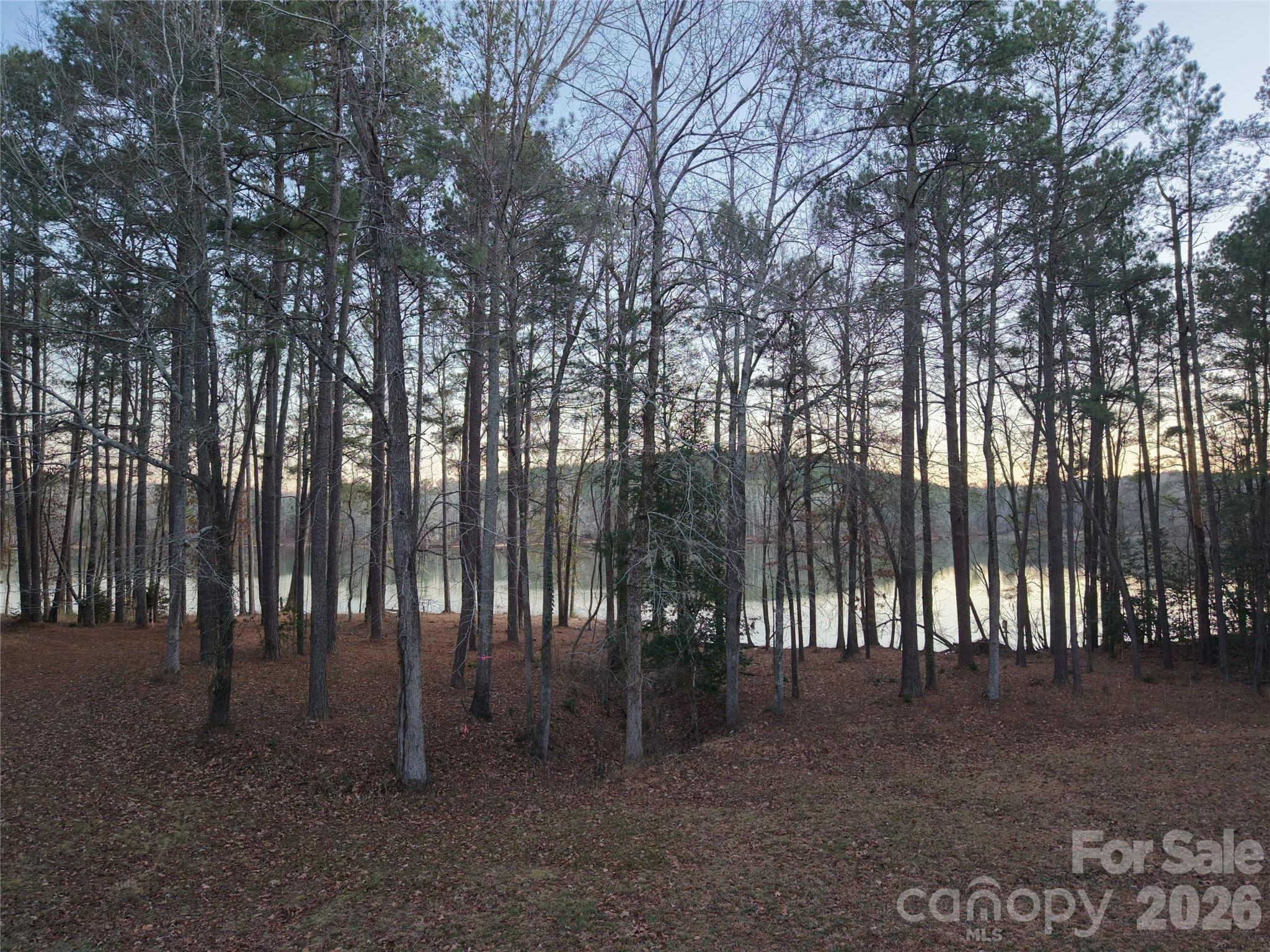 Tbd Tbd Spencer Pointe Road Lilesville, NC 28091 - Photo 13 of 19 a view of outdoor space with entertaining space