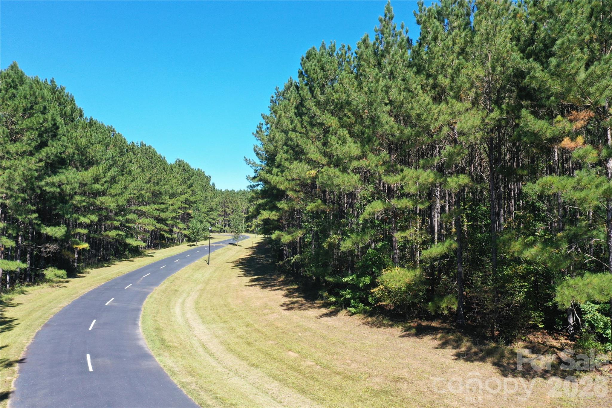 Tbd Tbd Spencer Pointe Road Lilesville, NC 28091 - Photo 5 of 19 a view of a backyard